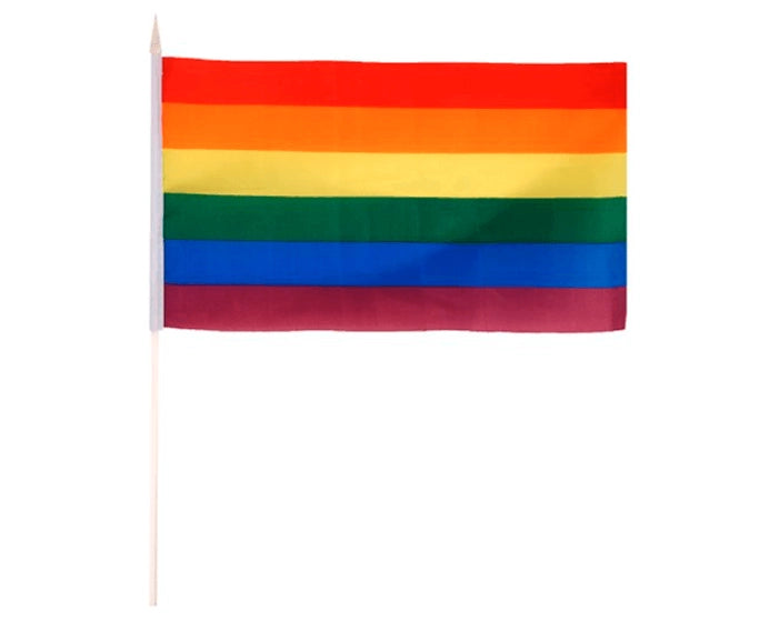 Pride-flagg på pinne 20 x 30 cm – Nylon